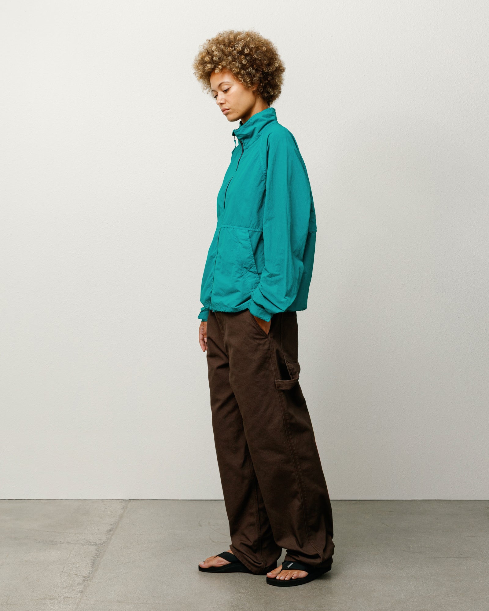 Carpenter Pant Canvas Mens Regular In Brown