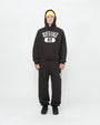 STUSSY 80 RELAXED HOODIE