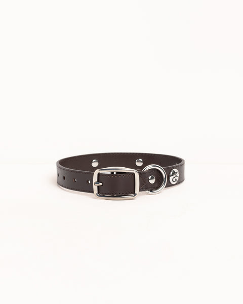 STUSSY STUDDED DOG COLLAR メタルロゴ　 犬　首輪 早期完売☆Stussy☆STUDDED DOG COLLAR (2色/追跡O) (STUSSY