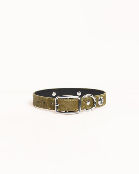 Ss Link Studded Dog Collar Accessories In Hairy Moss