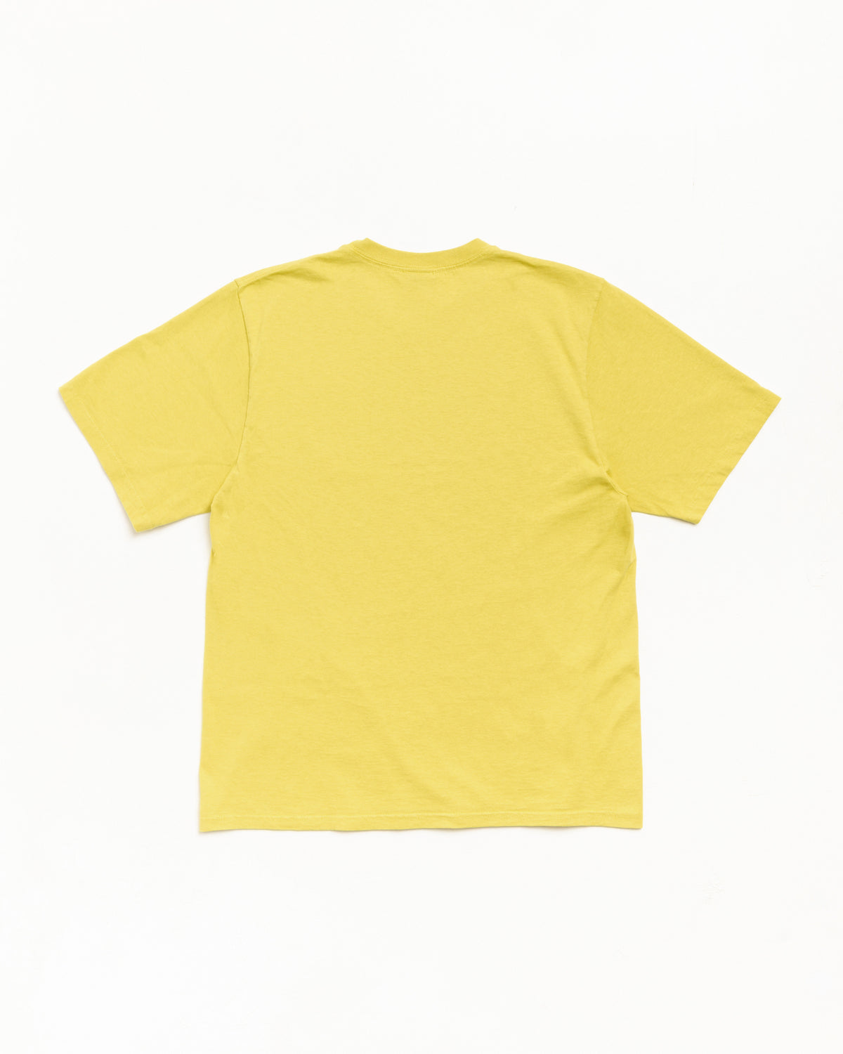 Garment Co. Pig. Dyed Tee Unisex Short Sleeve In Palm