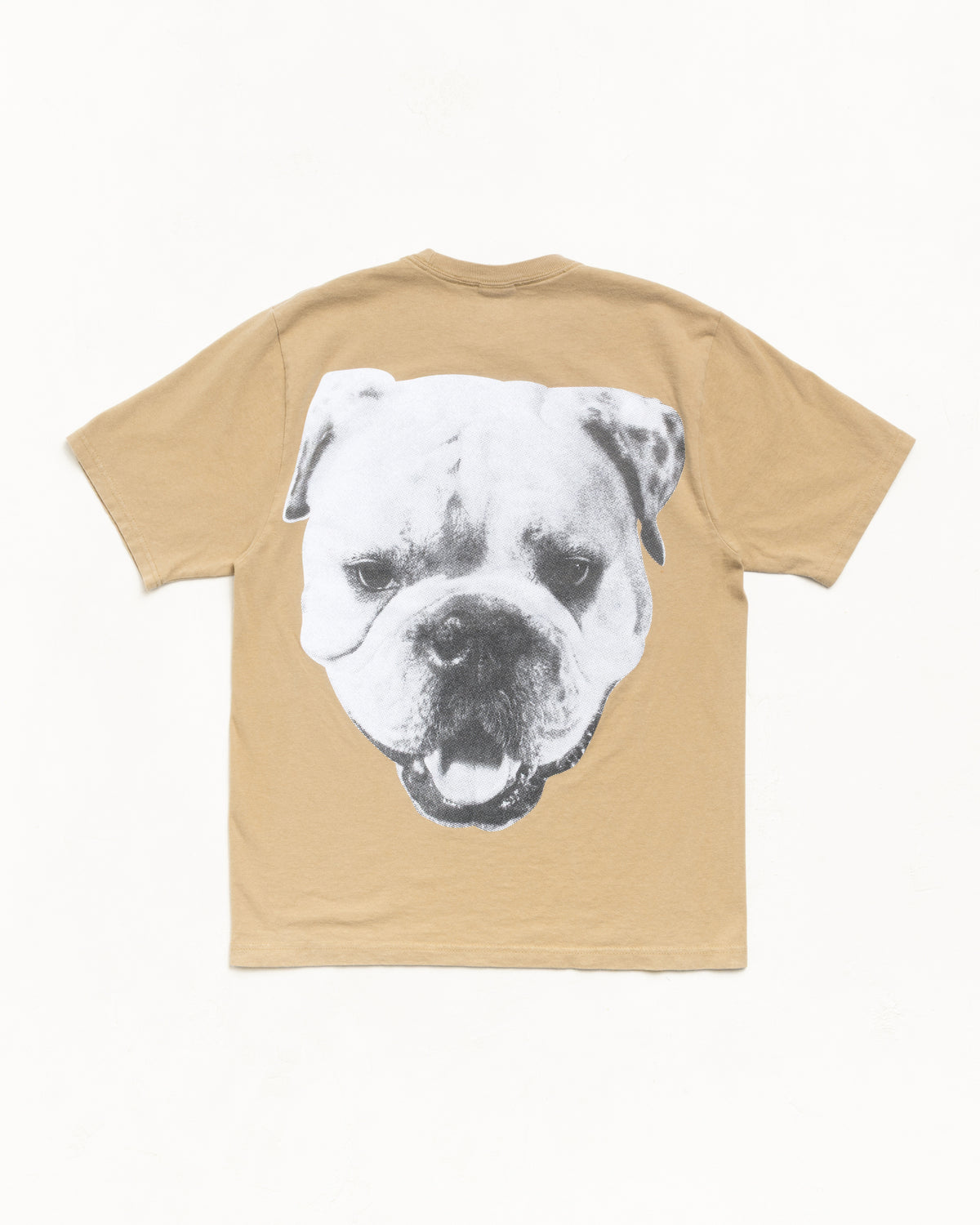 Big Dog Stone Washed Tee – Khaki | Tees | Stüssy Europe