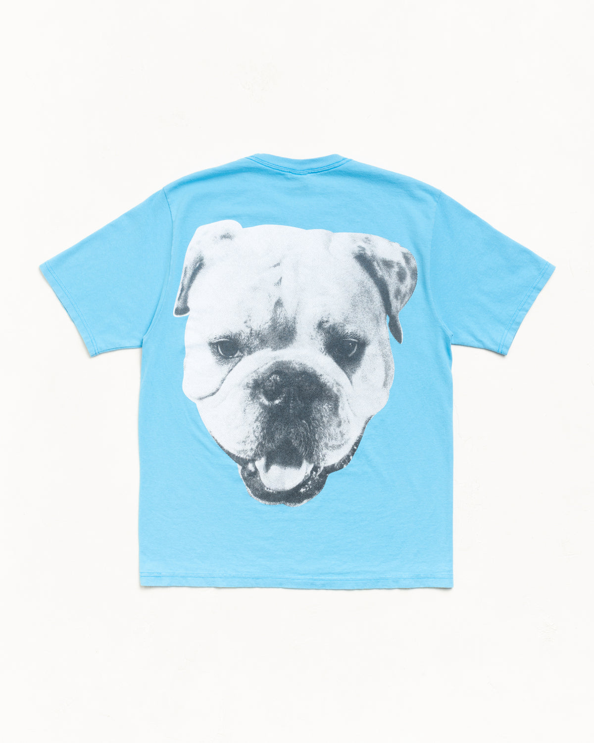 Big Dog Stone Washed Tee – Sky Blue | Tees | Stüssy Europe