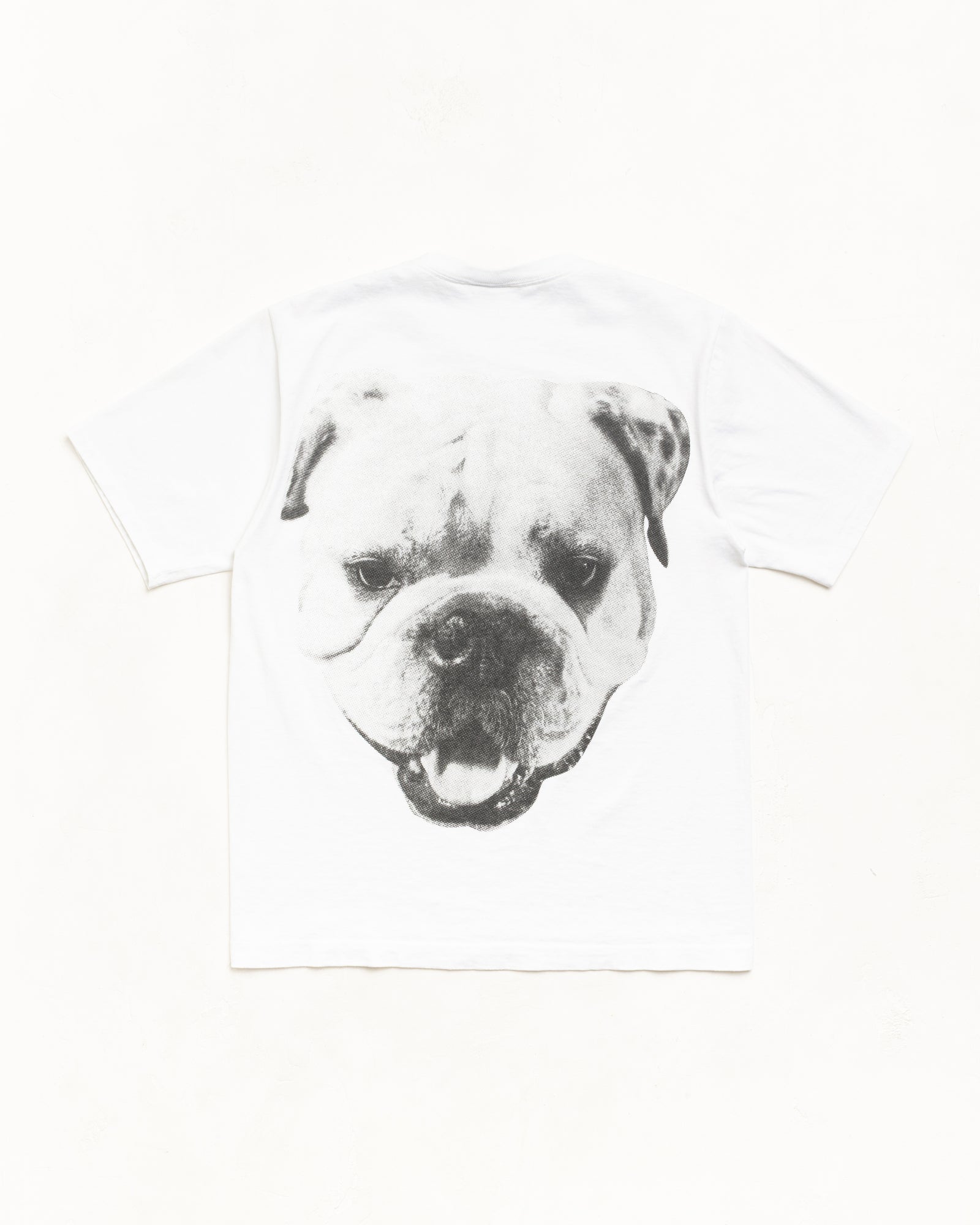 STUSSY Tシャツ ステューシー BIG DOG WASHED TEE M Big Dog Stone Washed Tee – White | Tees | Stüssy Europe