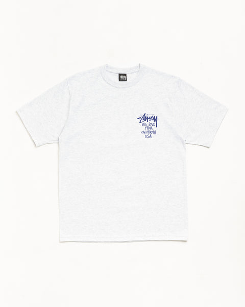 Big Love Tee Mens Short Sleeve in the color Ash Heather