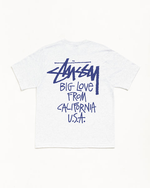 Big Love Tee Mens Short Sleeve In Ash Heather
