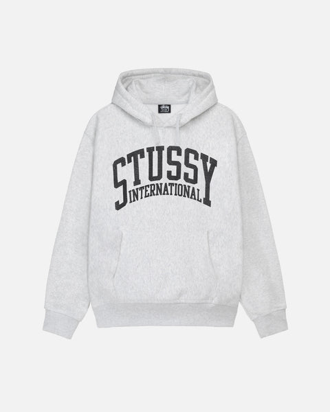 Stussy Basic Hoodie in Gray for Men