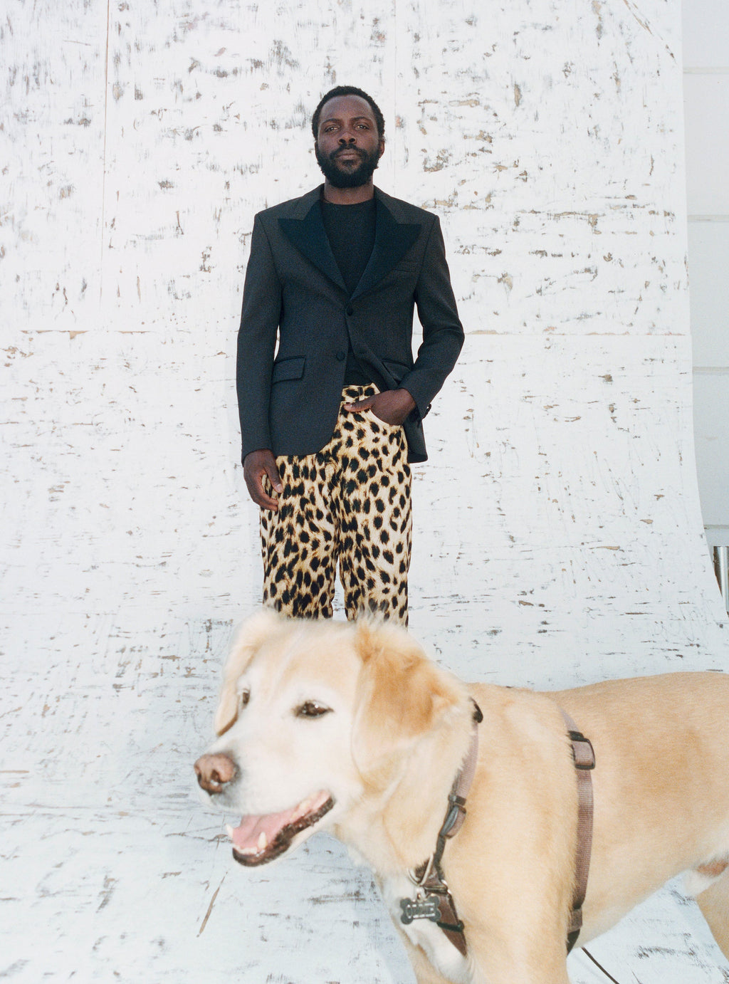 A man dressed in a dark blazer and the NEW CLASSIC JEAN DENIM in FLOCKED CHEETAH stands against a white backdrop behind a light-colored dog in the foreground.